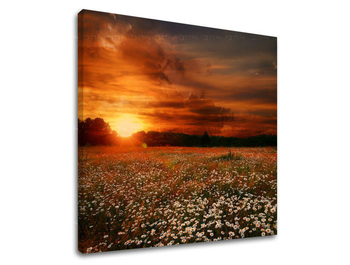 Obraz na stenu KRAJINA | rôzne rozmery