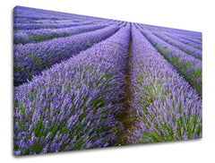 Obraz na stenu KRAJINA | rôzne rozmery