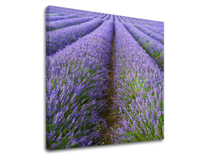 Obraz na stenu KRAJINA | rôzne rozmery