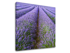 Obraz na stenu KRAJINA | rôzne rozmery