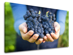 Obraz na stenu KUCHYŇA | rôzne rozmery