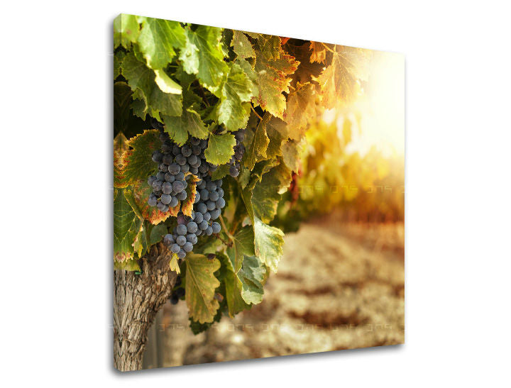 Obraz na stenu KUCHYŇA | rôzne rozmery