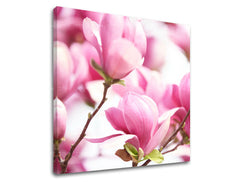 Obraz na stenu KVETY | rôzne rozmery