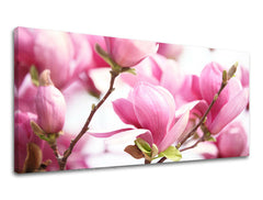 Obraz na stenu PANORÁMA KVETY | rôzne rozmery