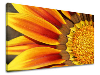 Obraz na stenu KVETY | rôzne rozmery