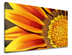 Obraz na stenu KVETY | rôzne rozmery