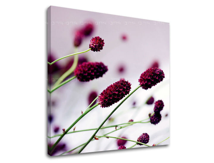 Obraz na stenu KVETY | rôzne rozmery