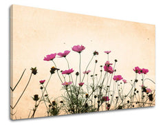 Obraz na stenu KVETY | rôzne rozmery