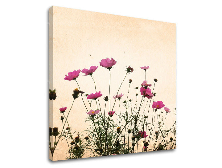 Obraz na stenu KVETY | rôzne rozmery