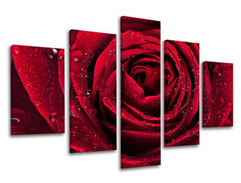 Obraz na stenu KVETY | rôzne rozmery