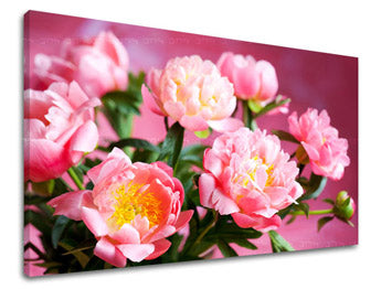 Obraz na stenu KVETY | rôzne rozmery