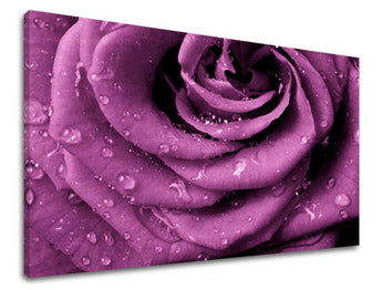 Obraz na stenu KVETY | rôzne rozmery