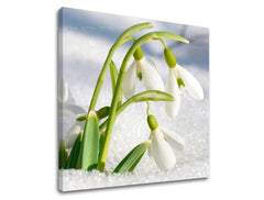 Obraz na stenu KVETY | rôzne rozmery