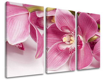 Obraz na stenu KVETY | rôzne rozmery