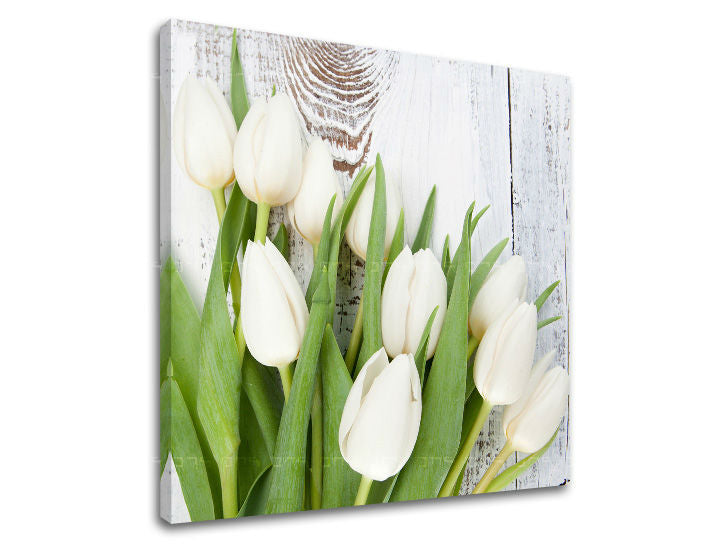 Obraz na stenu KVETY | rôzne rozmery