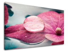 Obraz na stenu KVETY | rôzne rozmery