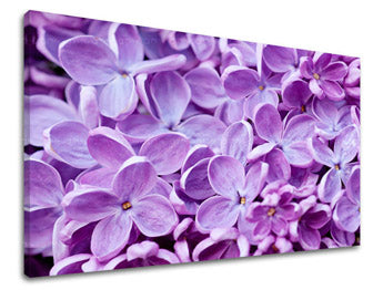 Obraz na stenu KVETY | rôzne rozmery