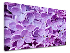 Obraz na stenu KVETY | rôzne rozmery