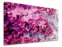 Obraz na stenu KVETY | rôzne rozmery