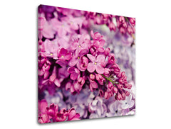 Obraz na stenu KVETY | rôzne rozmery