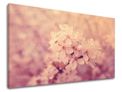 Obraz na stenu KVETY | rôzne rozmery