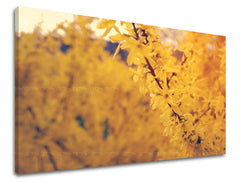 Obraz na stenu KVETY | rôzne rozmery