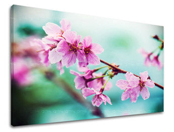 Obraz na stenu KVETY | rôzne rozmery