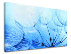 Obraz na stenu KVETY | rôzne rozmery