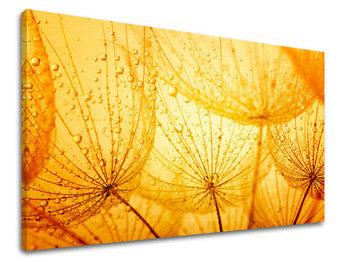 Obraz na stenu KVETY | rôzne rozmery