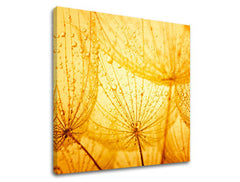 Obraz na stenu KVETY | rôzne rozmery