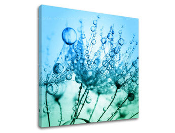 Obraz na stenu KVETY | rôzne rozmery