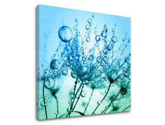 Obraz na stenu KVETY | rôzne rozmery