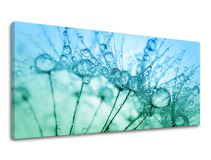 Obraz na stenu PANORÁMA KVETY | rôzne rozmery