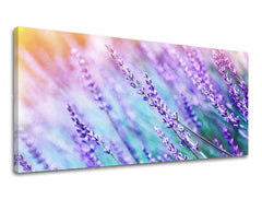 Obraz na stenu PANORÁMA KVETY | rôzne rozmery