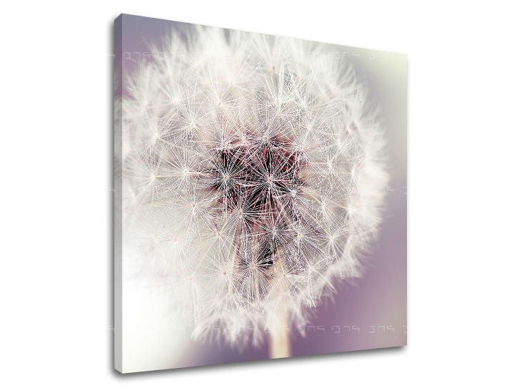 Obraz na stenu KVETY | rôzne rozmery