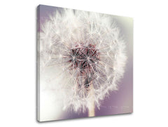 Obraz na stenu KVETY | rôzne rozmery