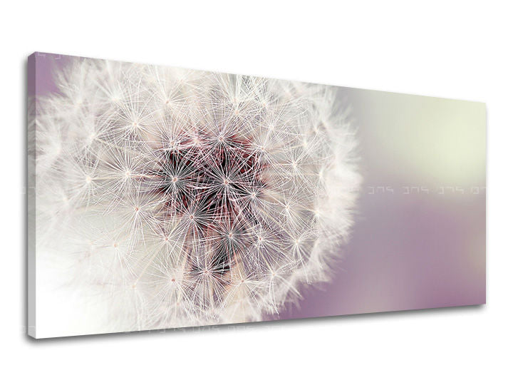 Obraz na stenu PANORÁMA KVETY | rôzne rozmery