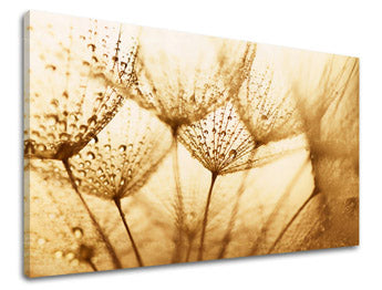 Obraz na stenu KVETY | rôzne rozmery