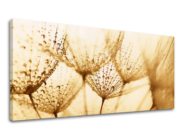 Obraz na stenu PANORÁMA KVETY | rôzne rozmery