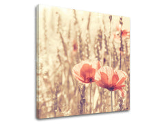 Obraz na stenu KVETY | rôzne rozmery