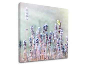 Obraz na stenu KVETY | rôzne rozmery