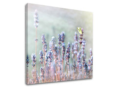 Obraz na stenu KVETY | rôzne rozmery