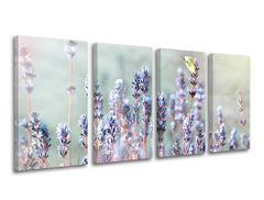 Obraz na stenu KVETY | rôzne rozmery