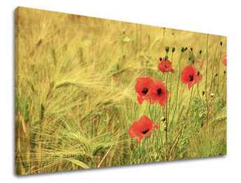 Obraz na stenu KVETY | rôzne rozmery