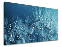 Obraz na stenu KVETY | rôzne rozmery