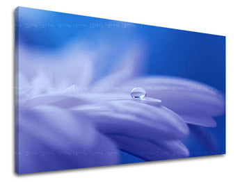 Obraz na stenu KVETY | rôzne rozmery