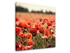 Obraz na stenu KVETY | rôzne rozmery