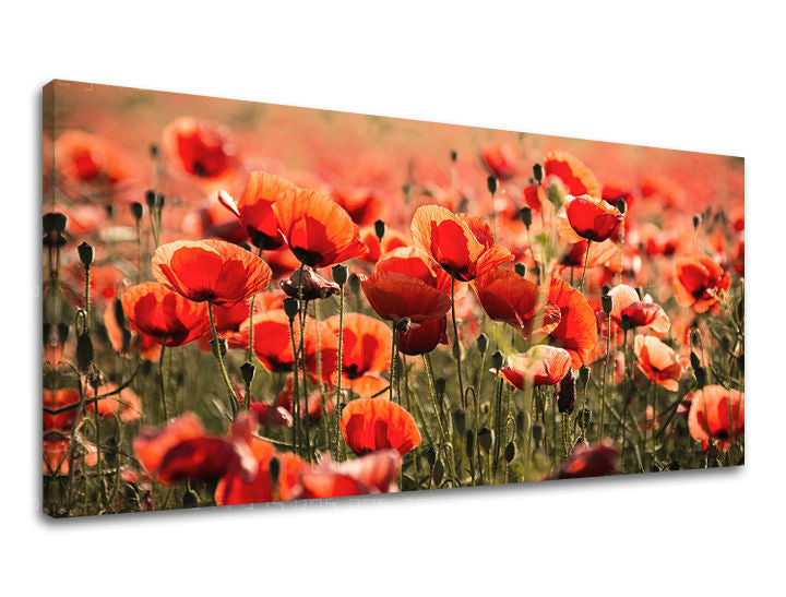 Obraz na stenu PANORÁMA KVETY | rôzne rozmery
