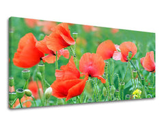 Obraz na stenu PANORÁMA KVETY | rôzne rozmery