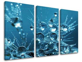 Obraz na stenu KVETY | rôzne rozmery